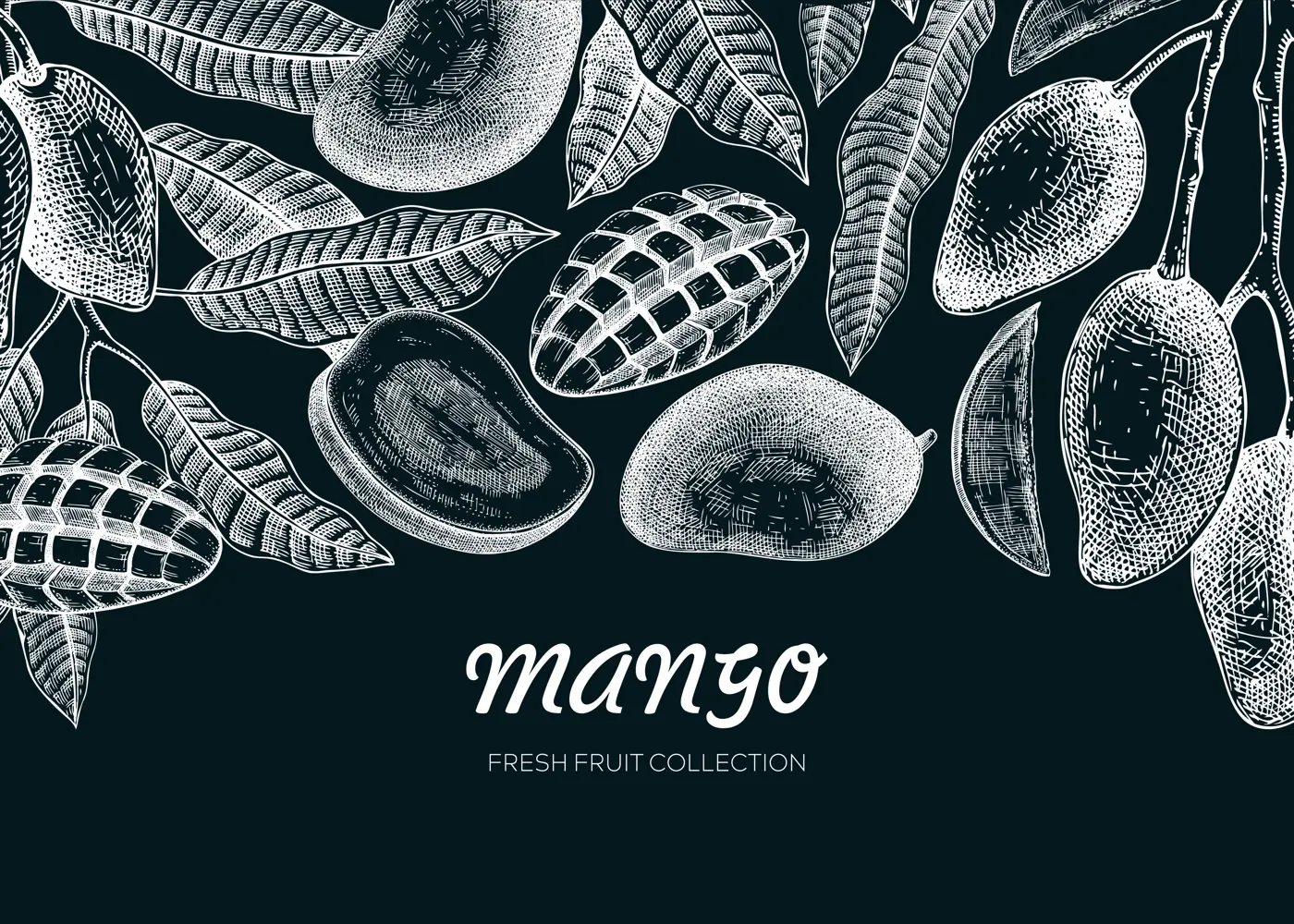 Exotic fruit banner design. Mango hand-drawn vector illustration. Mango fruit, tree branches, leaves sketches. Healthy food template on chalkboard. Summer background Illustration
